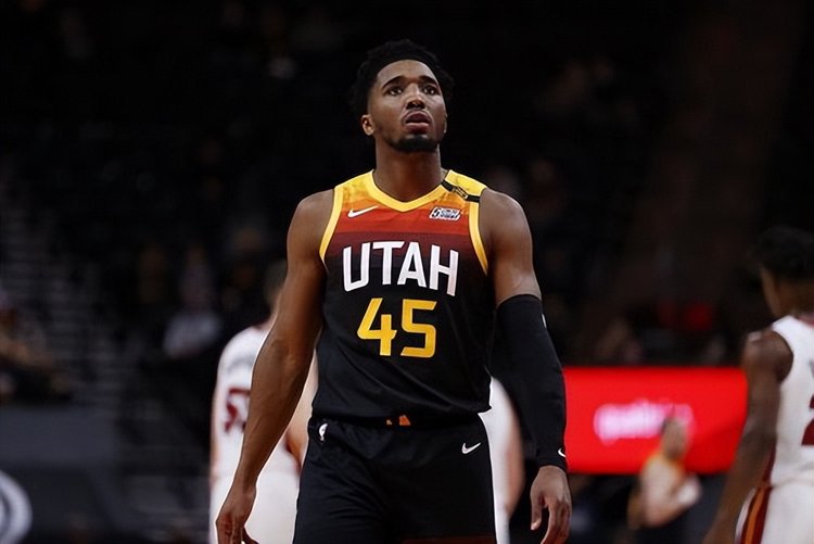 和篮球专家 和篮球专家